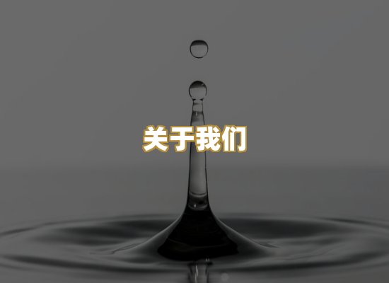 关于我们