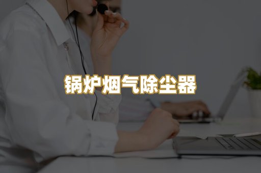 锅炉烟气除尘器